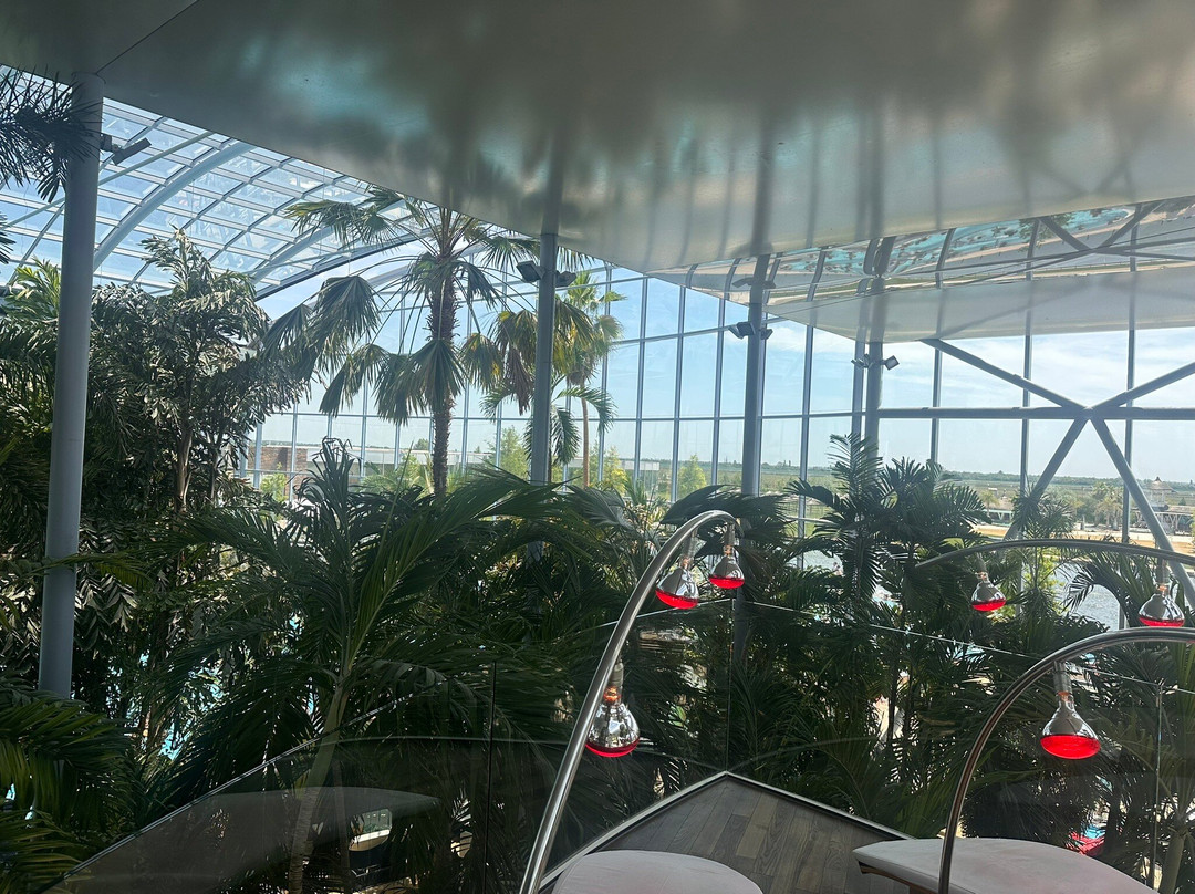 Therme Bucuresti景点图片