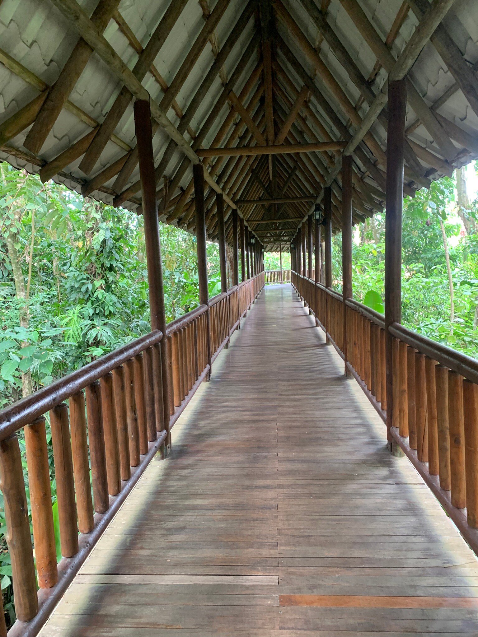 Hotel El Bambu-官方