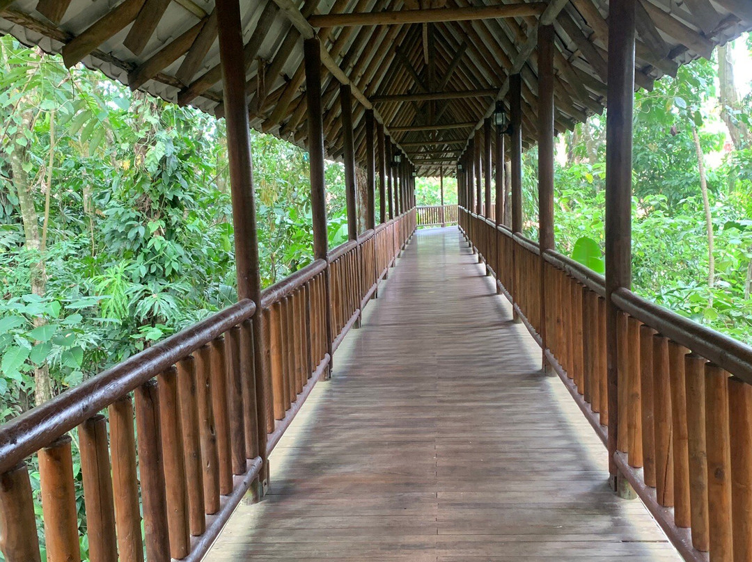 Hotel El Bambu主图