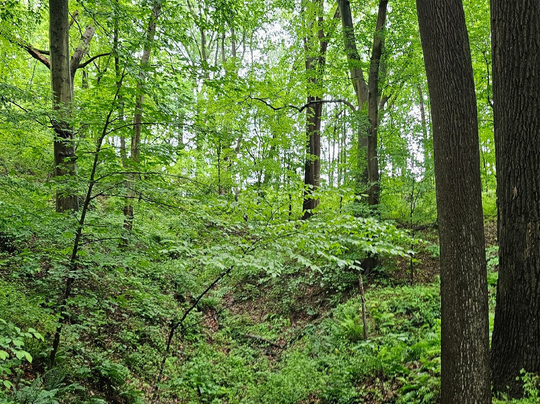 Fair Hill State Natural Resources-埃尔克顿必去景点