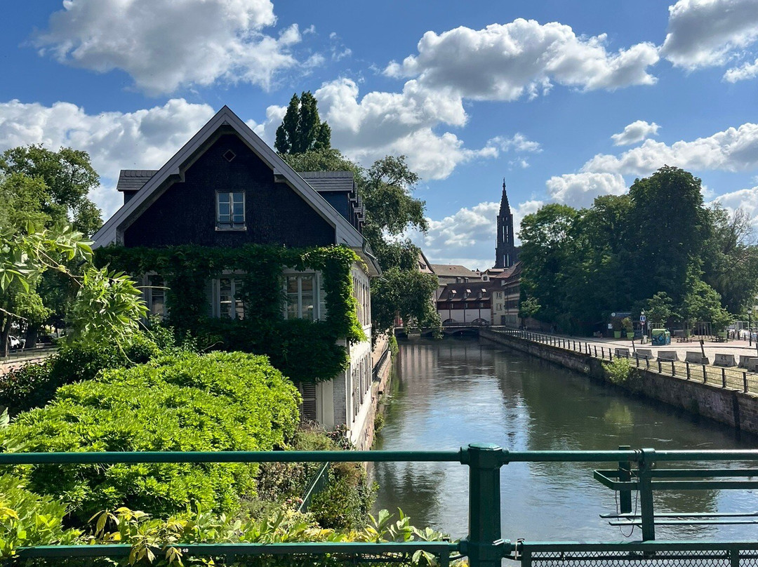 Petit Train Touristique de Strasbourg景点图片