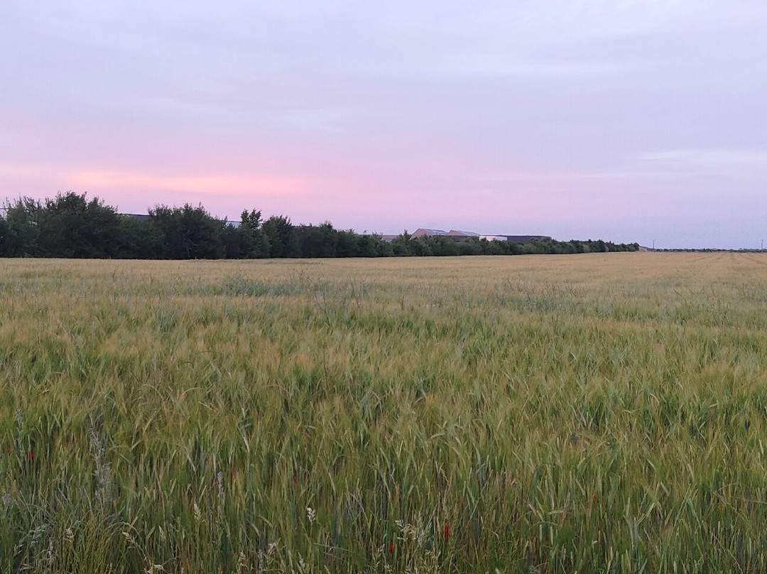 Logis Saint Leonard主图