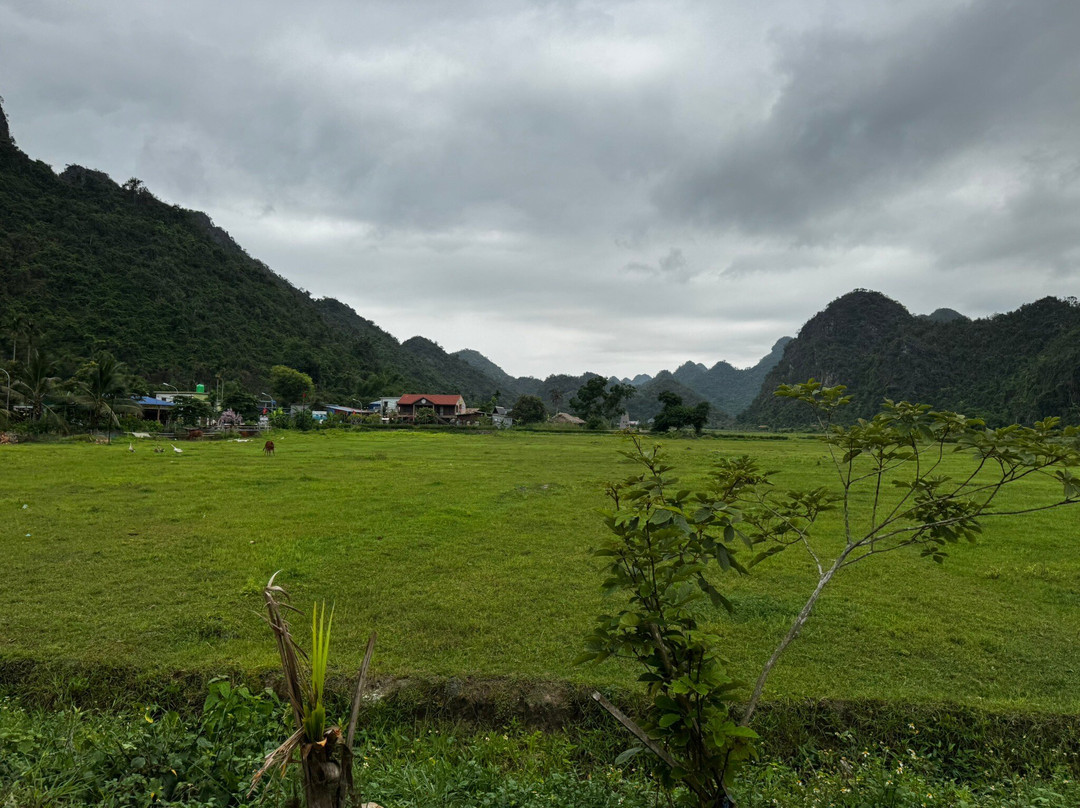 Halong Bay Cruises-下龙湾必去景点