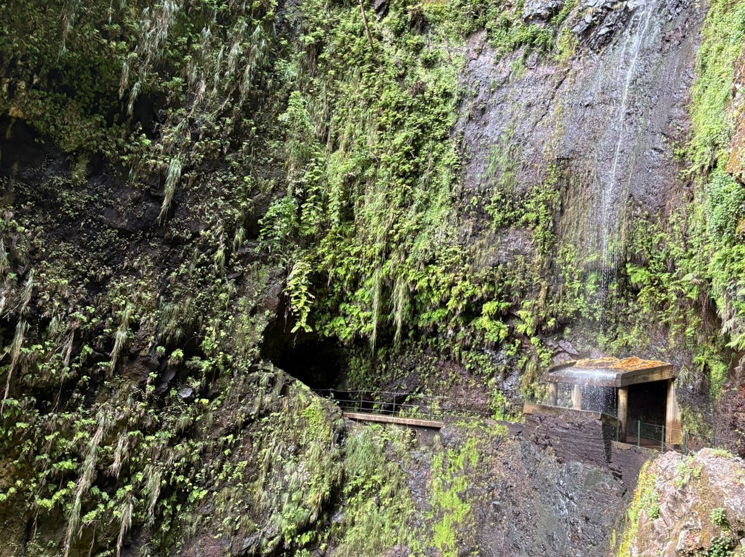 Levada Ribeira de Janela-莫尼什港必去景点