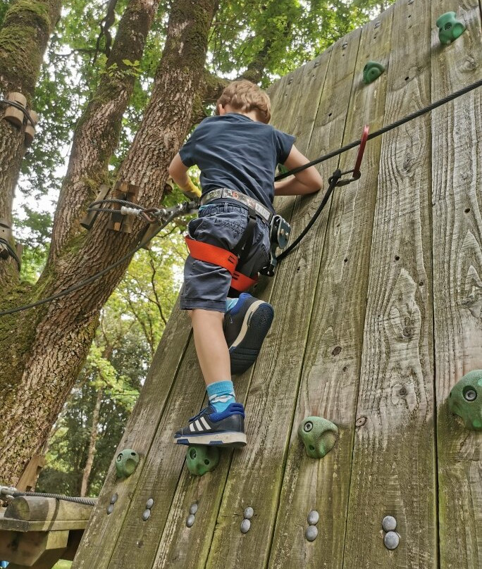 Piriac Adventure Tree climbing-Piriac-sur-Mer必去景点