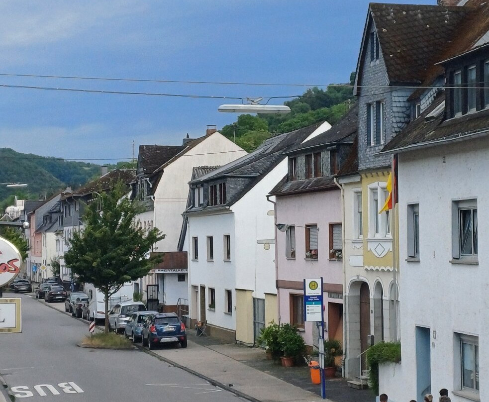 Baums Rheinhotel主图