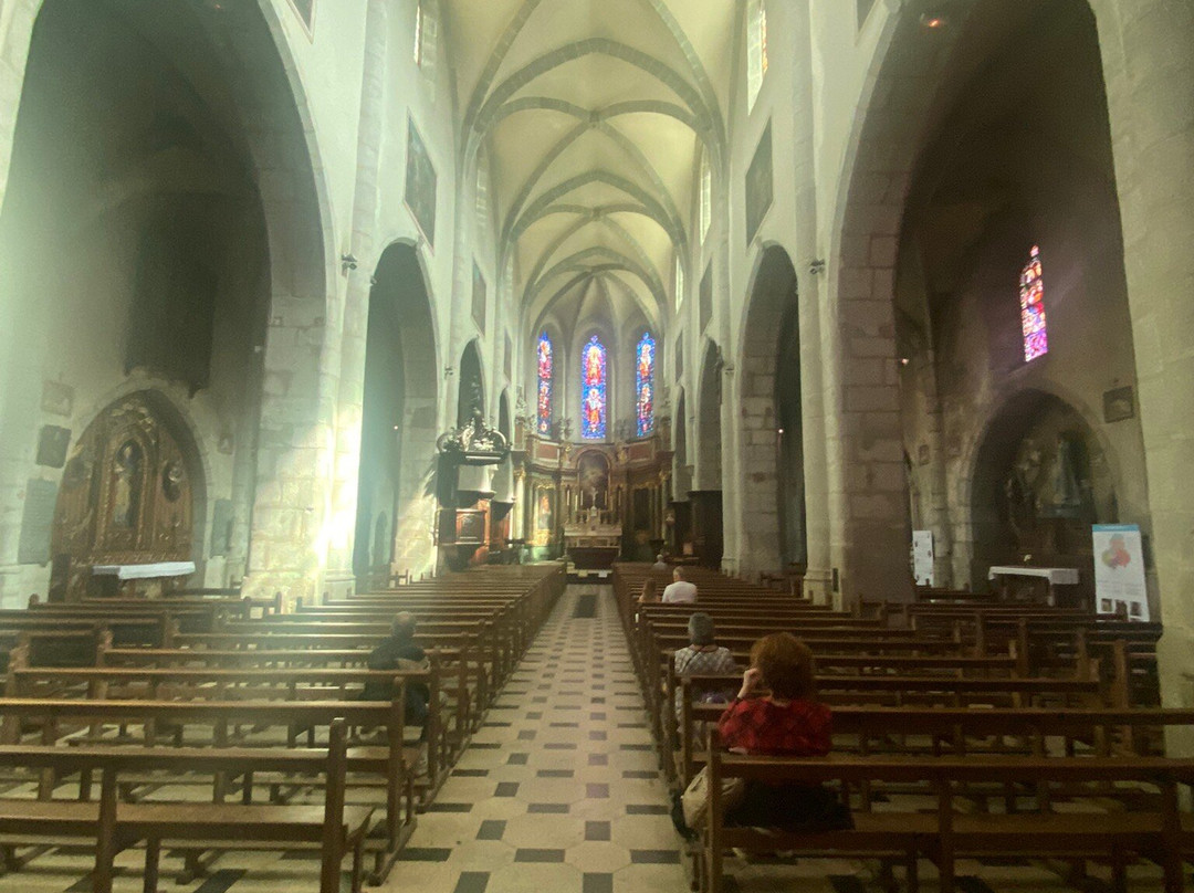 Cathedrale Saint-Pierre-安纳西必去景点