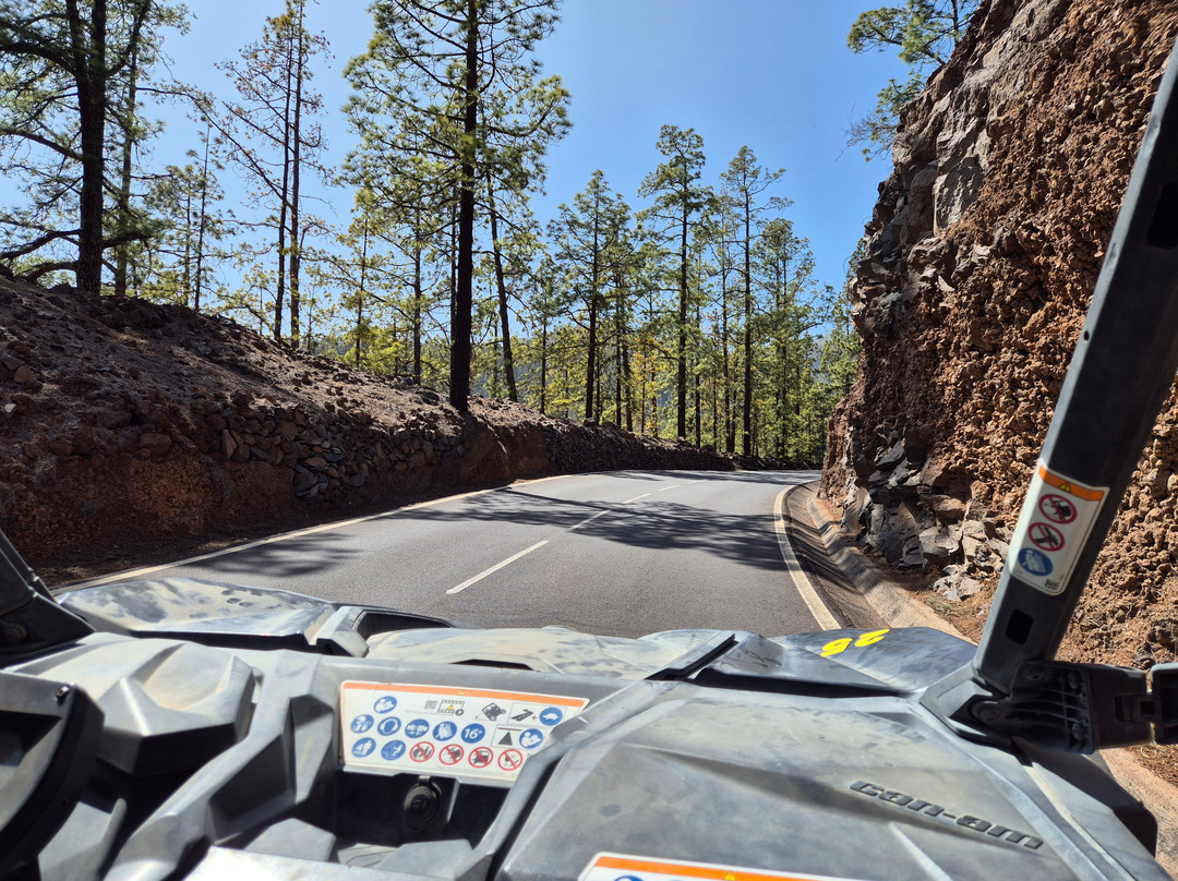 King Buggy Tenerife-Las Chafiras必去景点