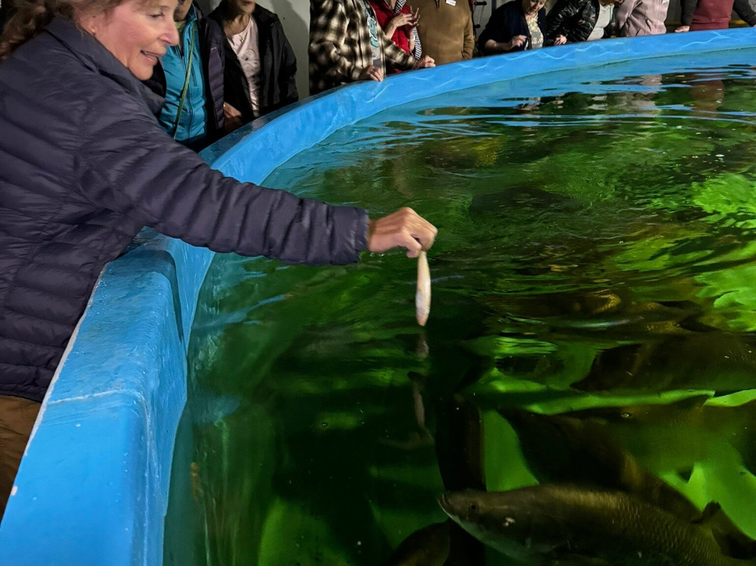 Barramundi Discovery Centre & Hatchery Karumba-Karumba必去景点