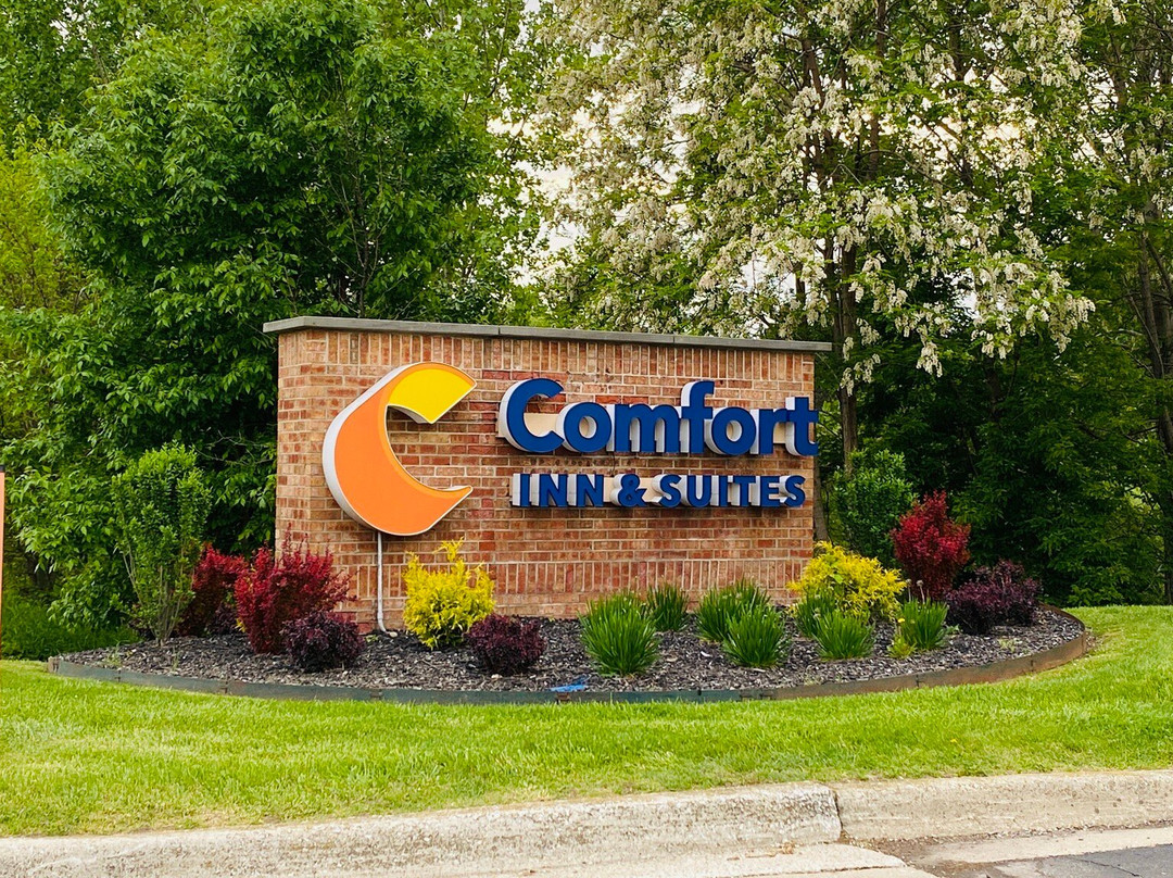 Comfort Inn & Suites主图