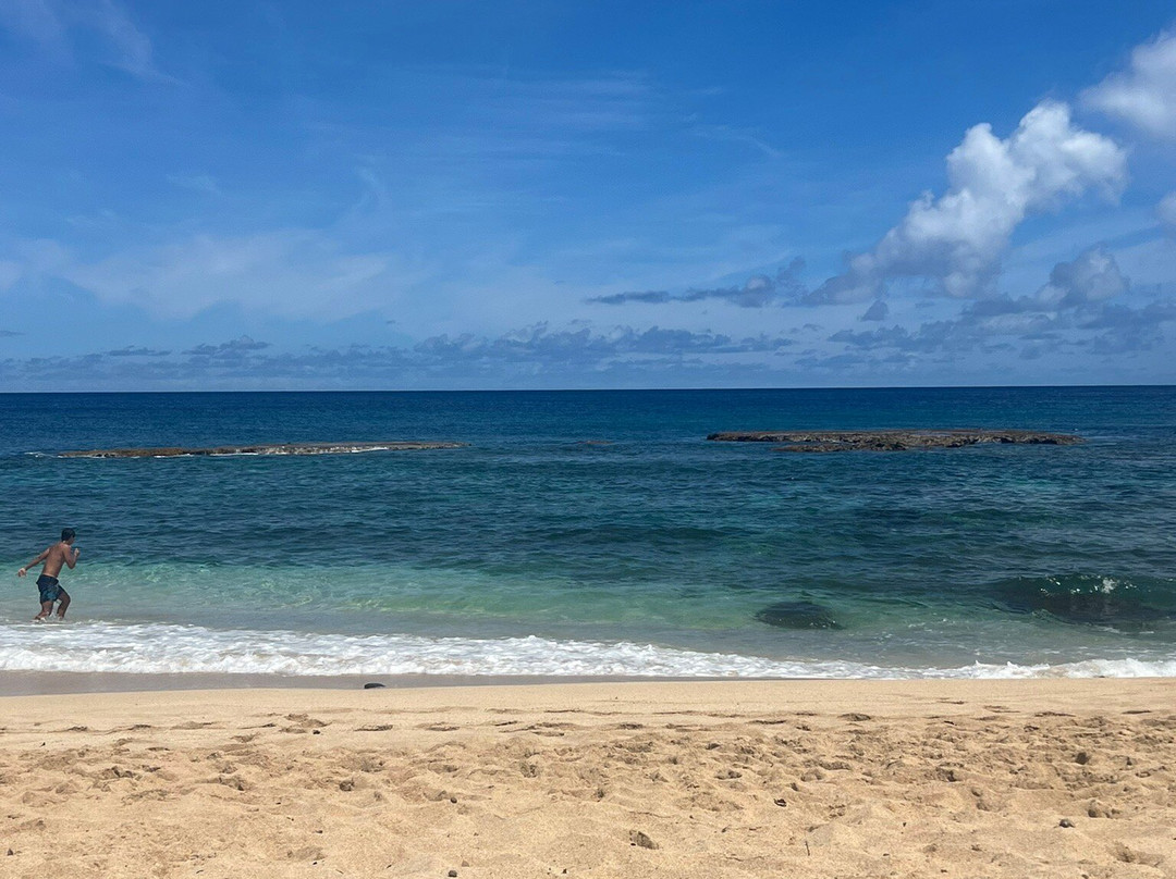 Three Tables Dive Site-Pupukea必去景点
