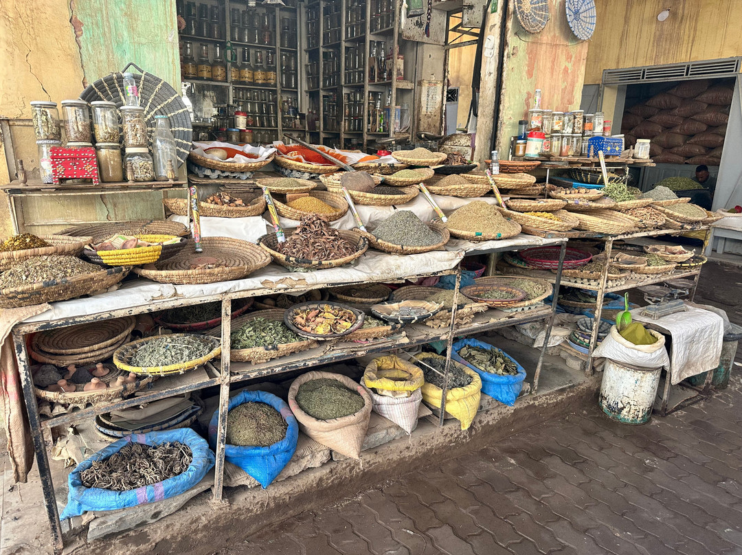 Seekers Travel Morocco-瓦尔扎扎特必去景点