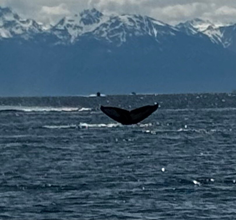 Juneau Lighthouse Tours-朱诺必去景点