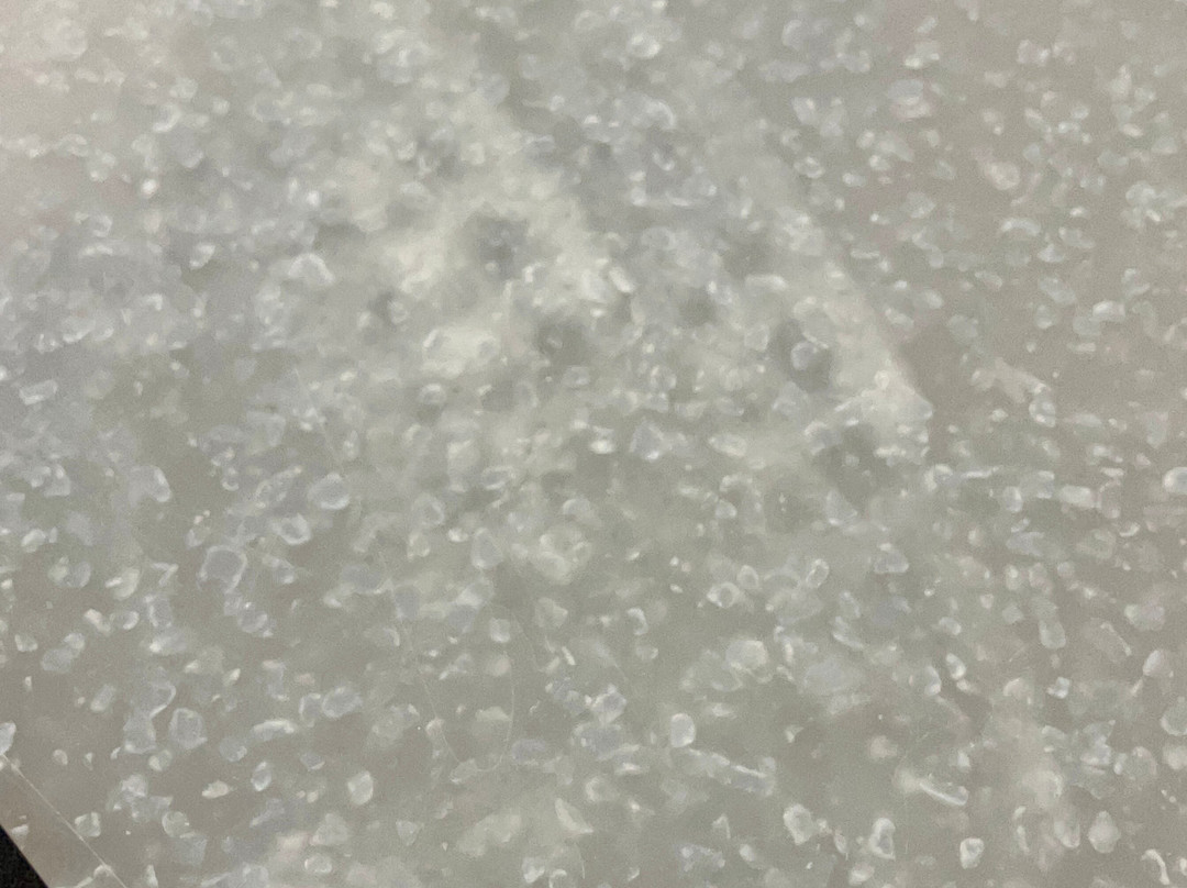 罗彻斯特机场万豪酒店主图