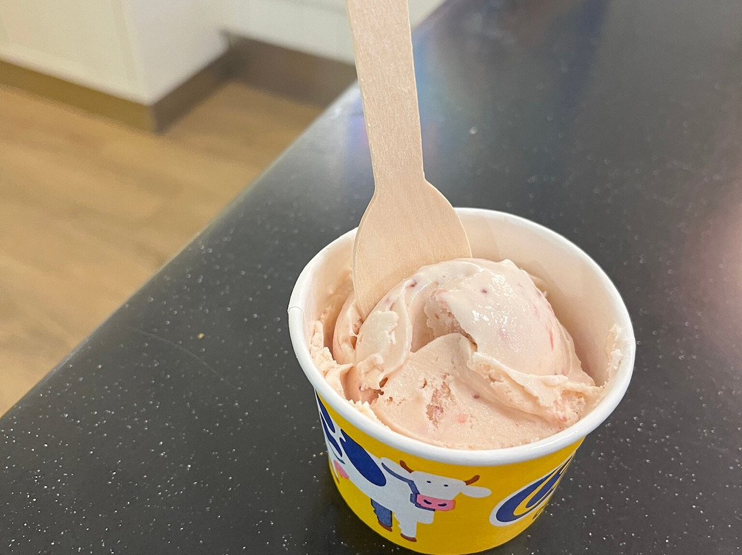 Cow's-哈利法克斯必去景点