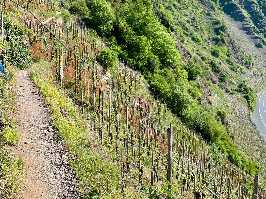 Calmont Klettersteig-Bremm必去景点