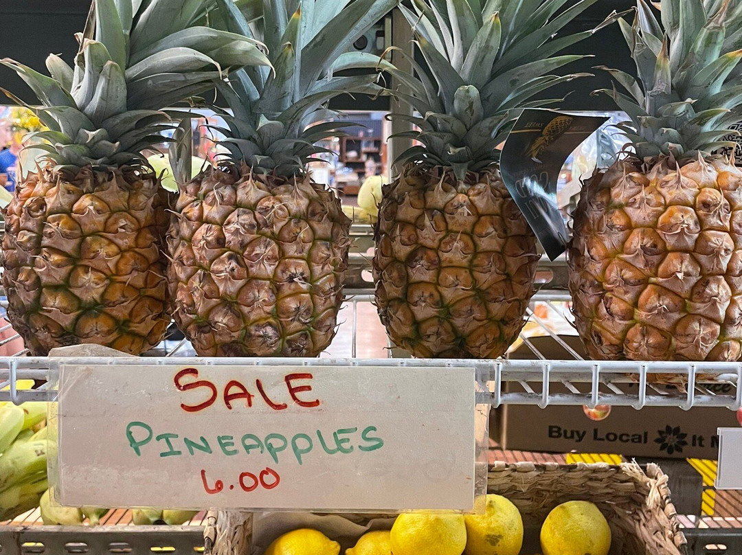 茂宜热带平原-怀露库必去景点