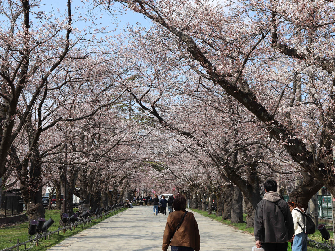 Takada Park-上越市必去景点