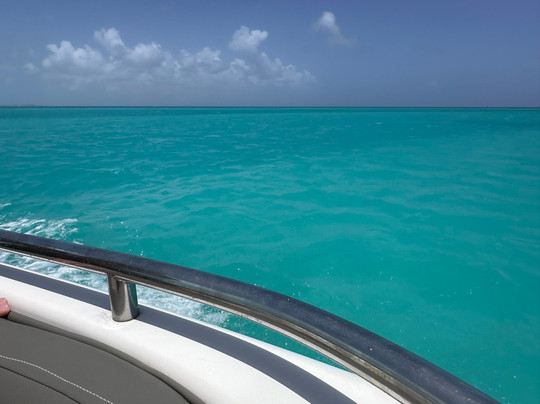 Seas The Day WTC-普罗维登西亚莱斯必去景点