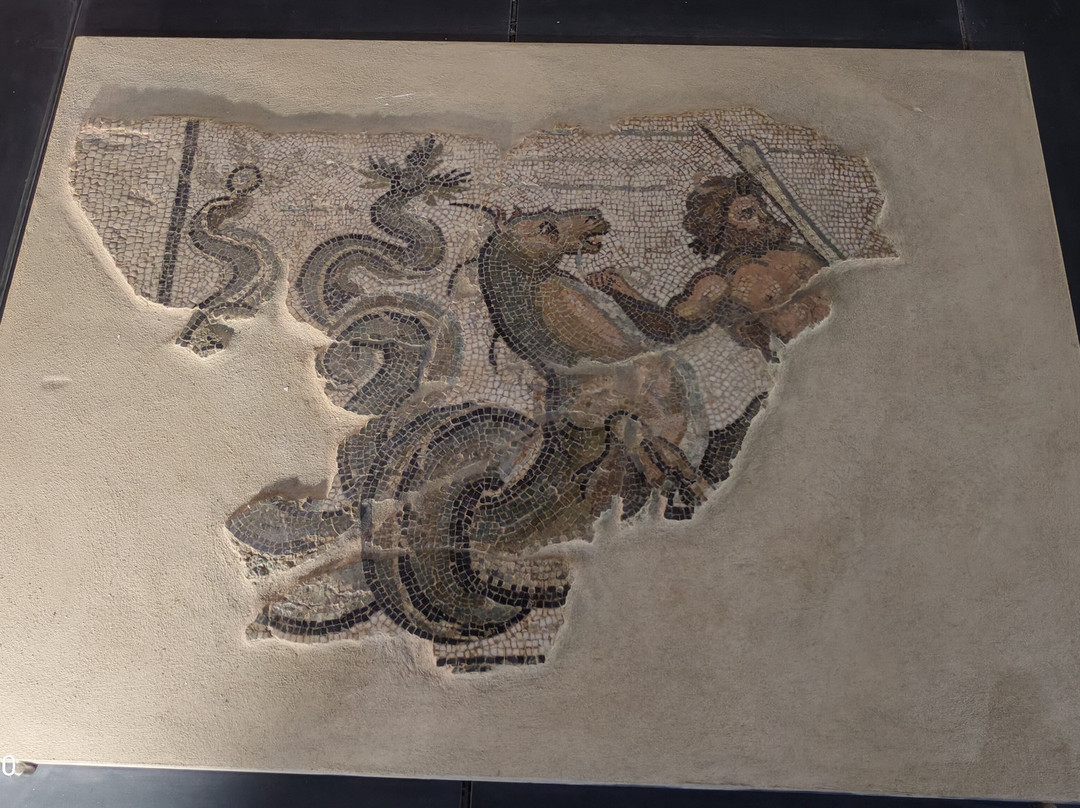 Civico Museo Archeologico e della Città di Savona-萨沃纳必去景点