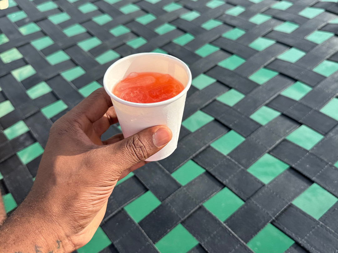 ScubaCaribe - Ocho Rios-奥乔里奥斯必去景点