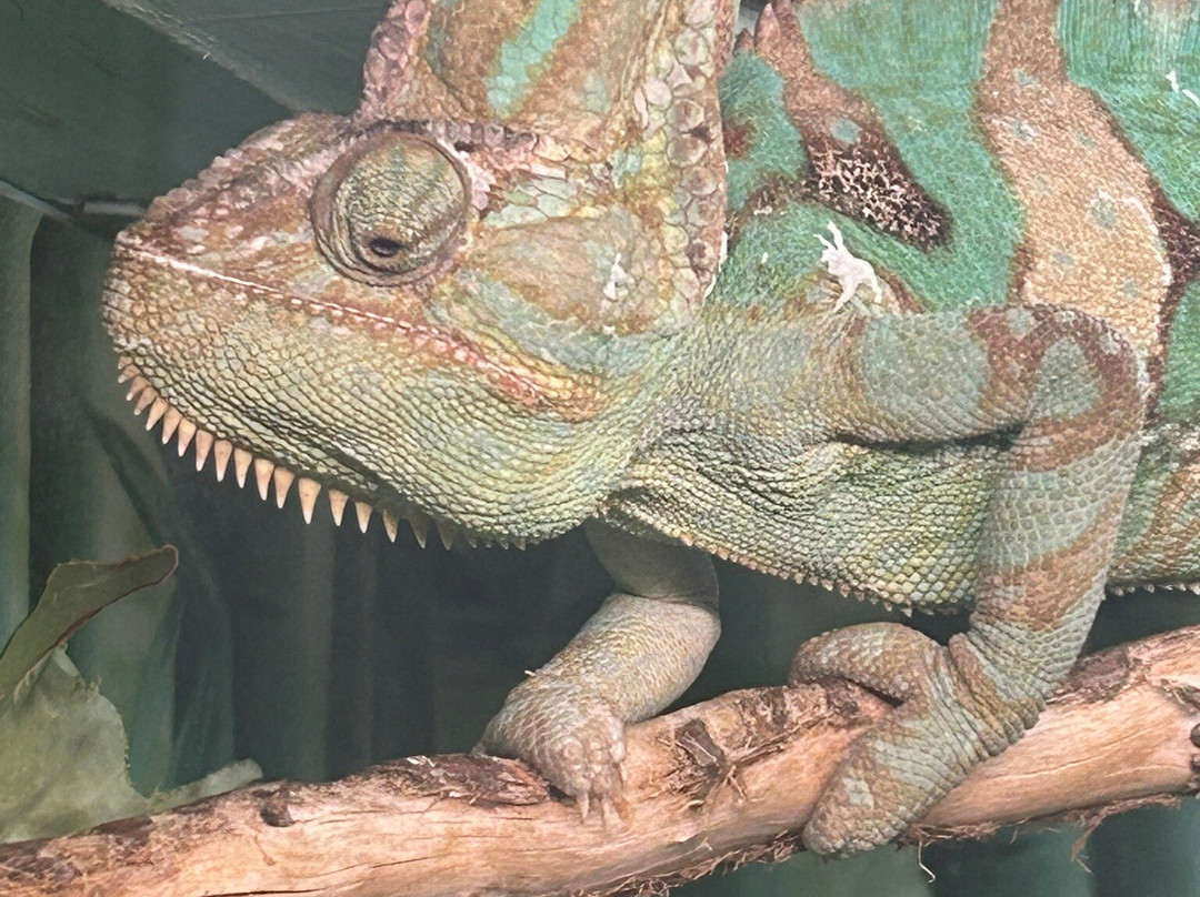 Minsk Zoo-明斯克必去景点
