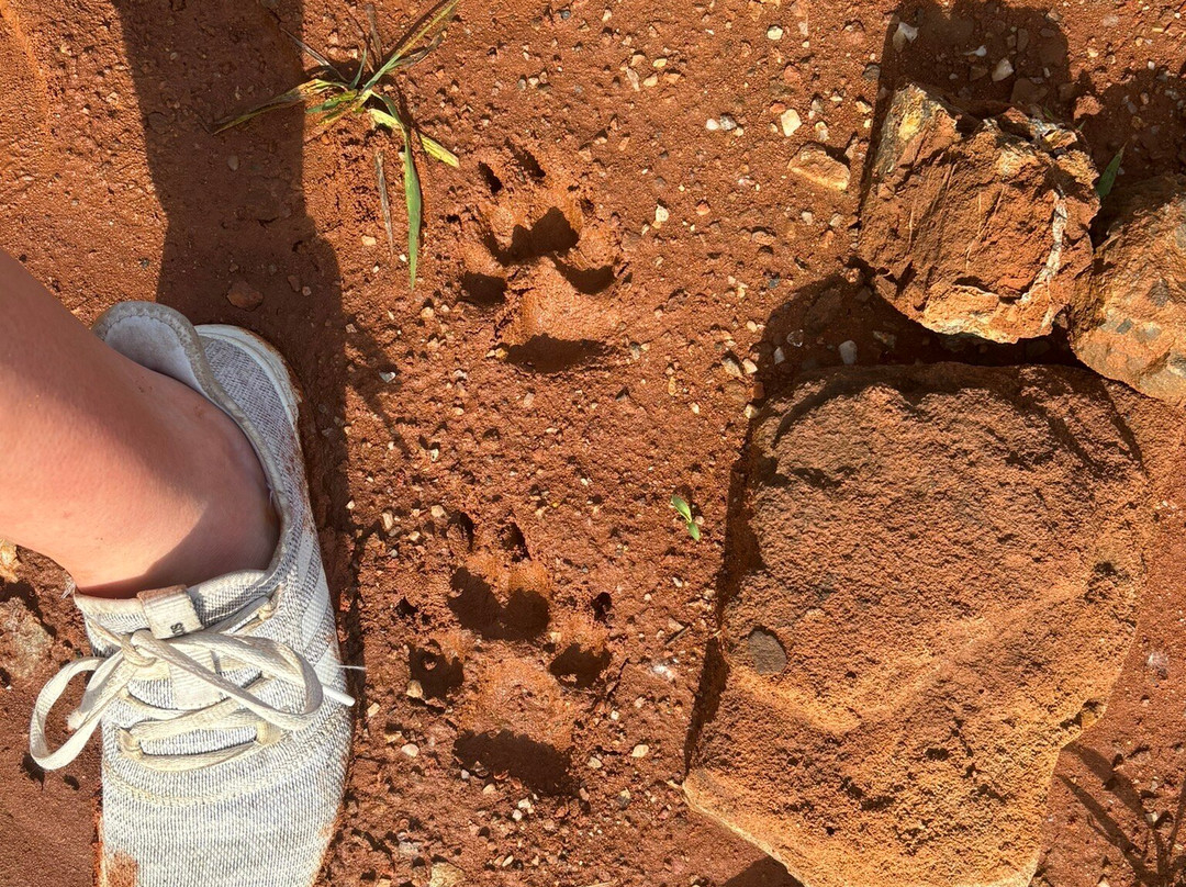 Coleman Crystal Mines and Rock Shop-Jim-Jessieville必去景点