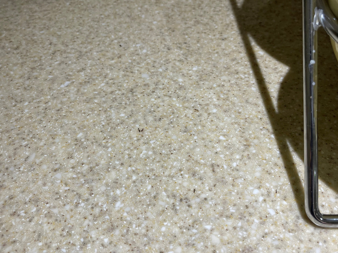 Quality Inn & Suites主图