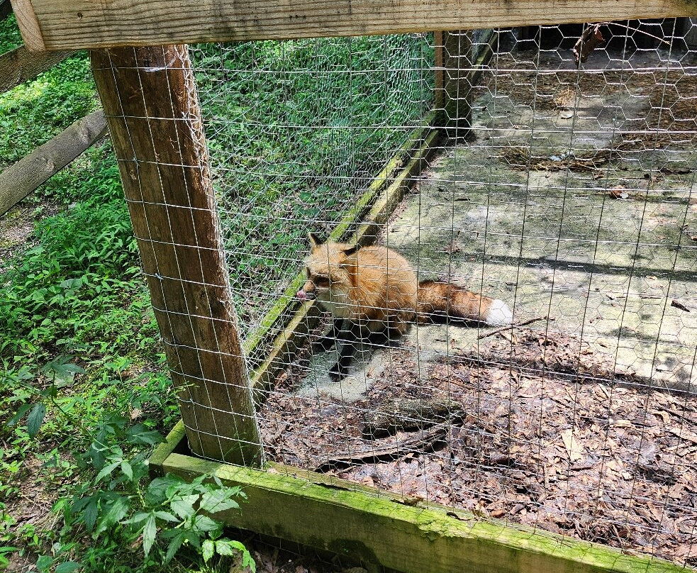 Heritage Farm Museum and Village-亨廷顿必去景点