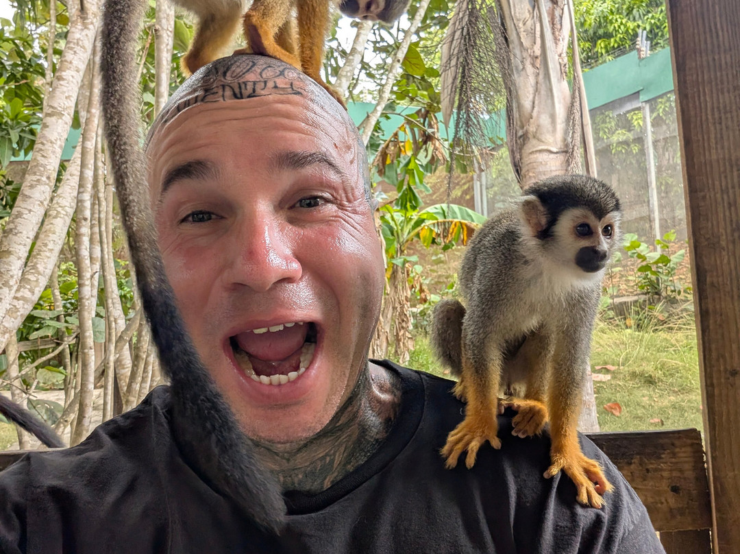 Runners Adventures-普拉塔港必去景点