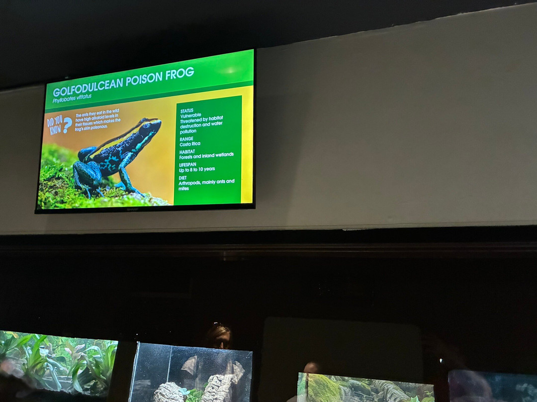 Greenville Zoo-格林维尔必去景点