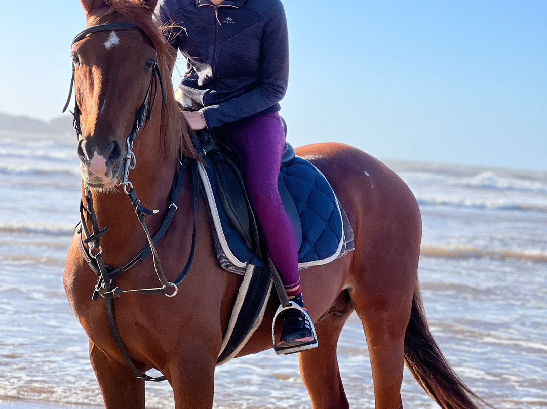 Mogador Horse-Diabat必去景点