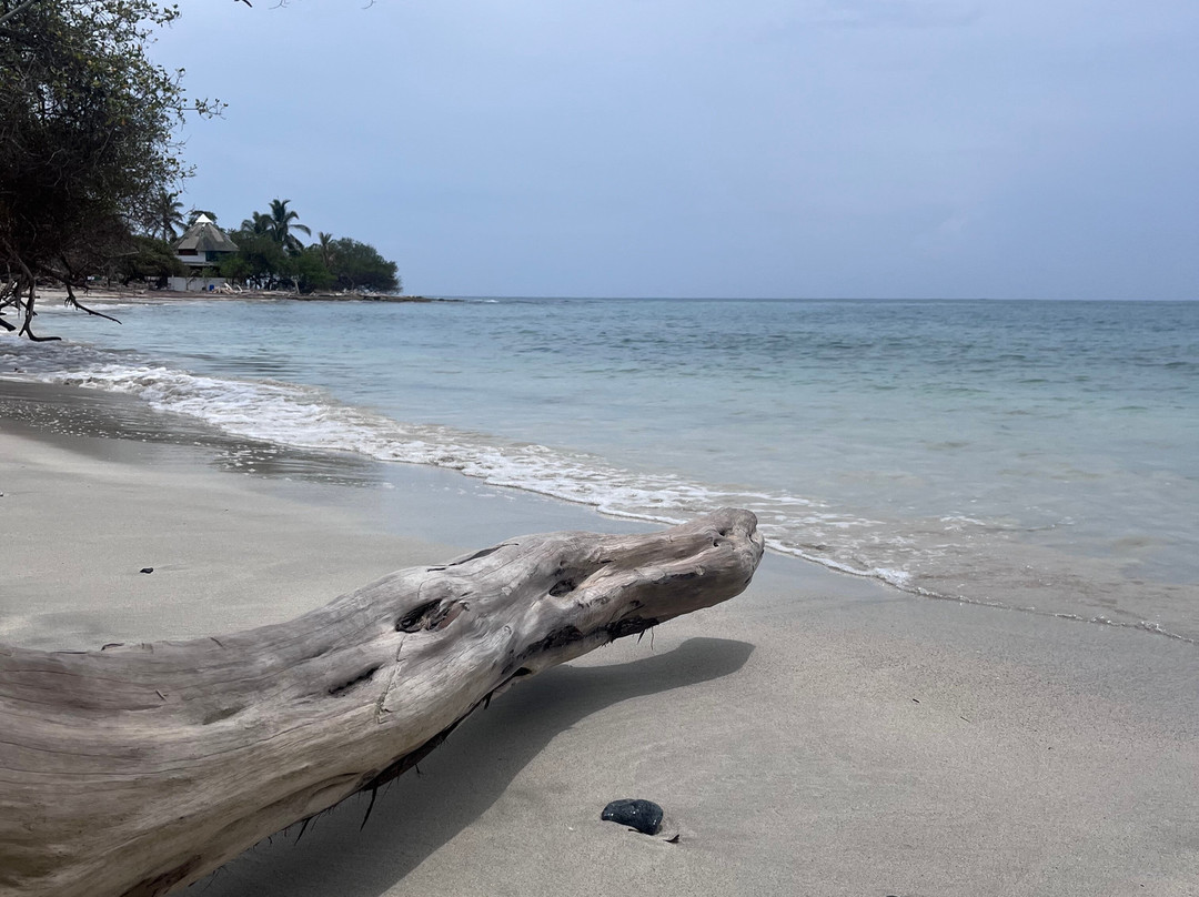 Isla Fuerte Ecolodge &  Diving Center-Isla Fuerte必去景点