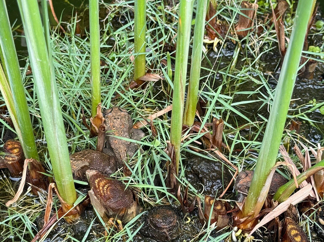 托奇码头图兰度假村&Spa主图