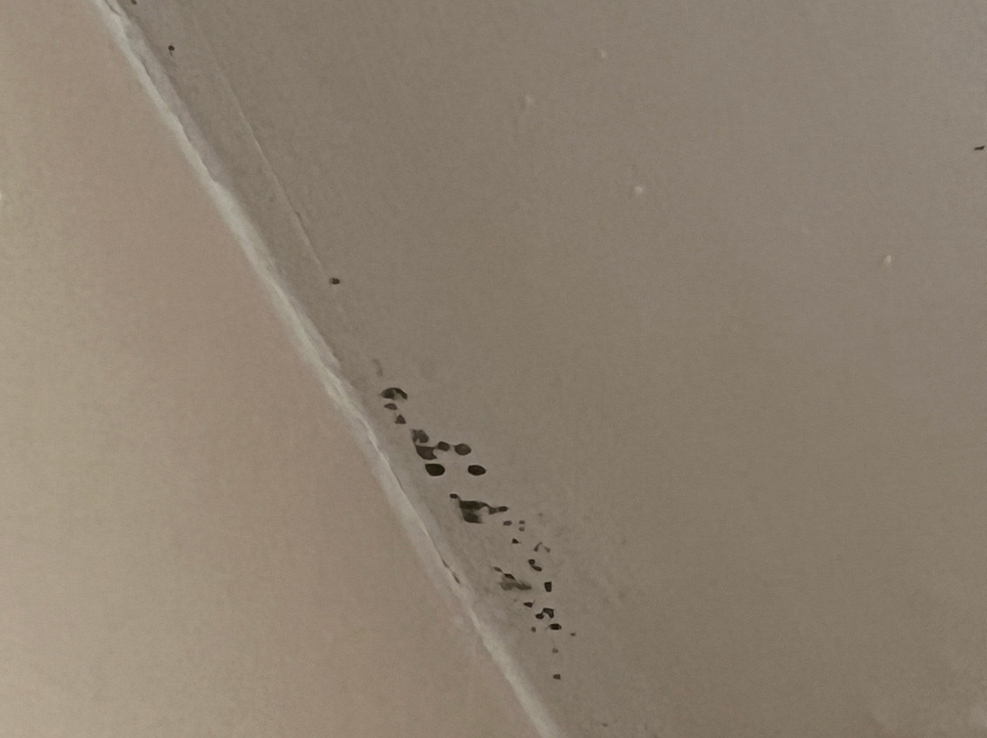 Best Western Emporia主图