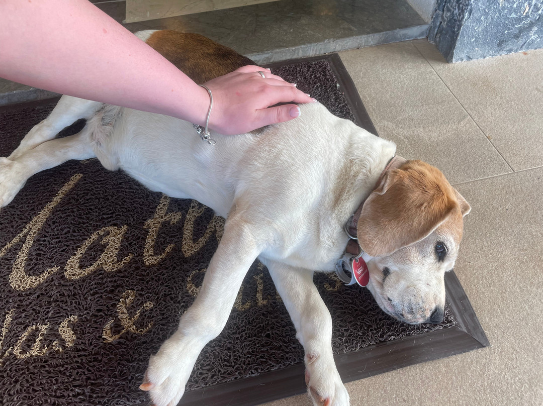 Matheo Hotel Villas & Suites主图