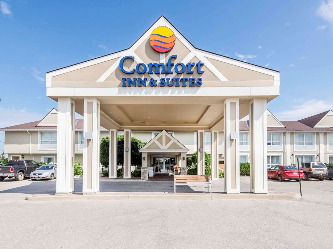 科林伍德酒店住宿-Comfort Inn & Suites Collingwood