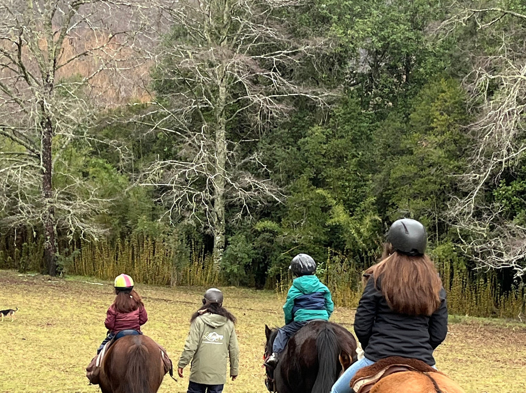 Alma Equina Pucon-普孔必去景点