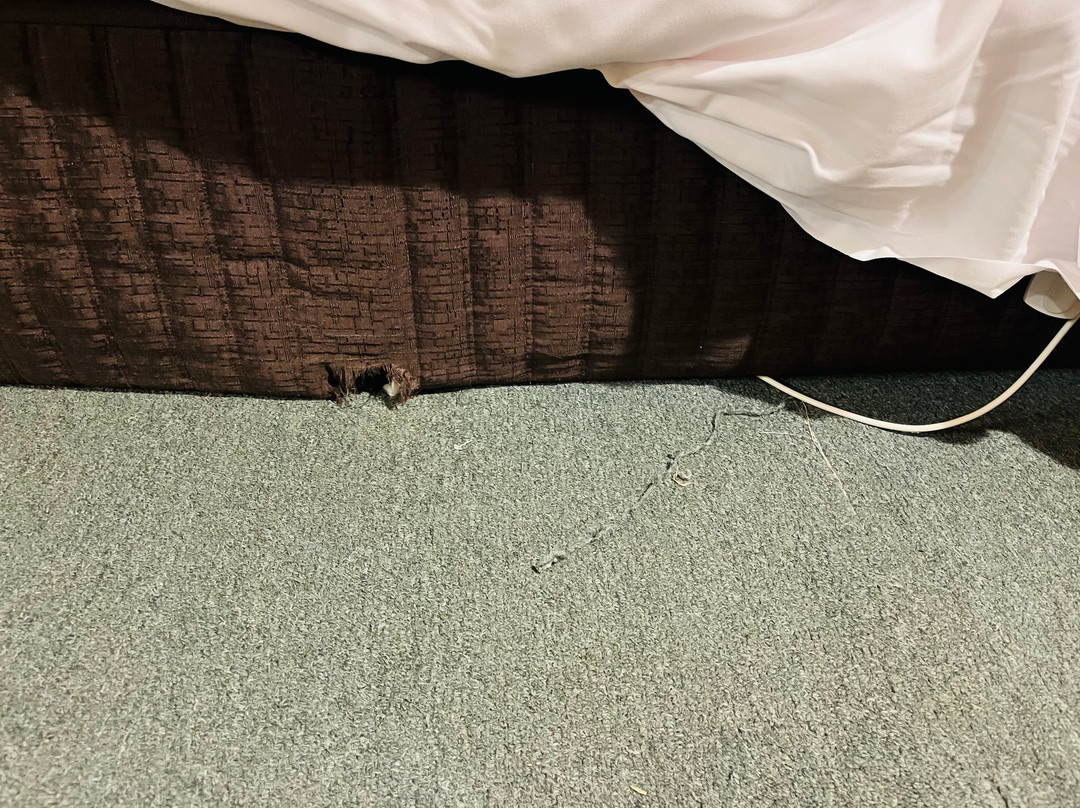 High Country Motor Inn主图