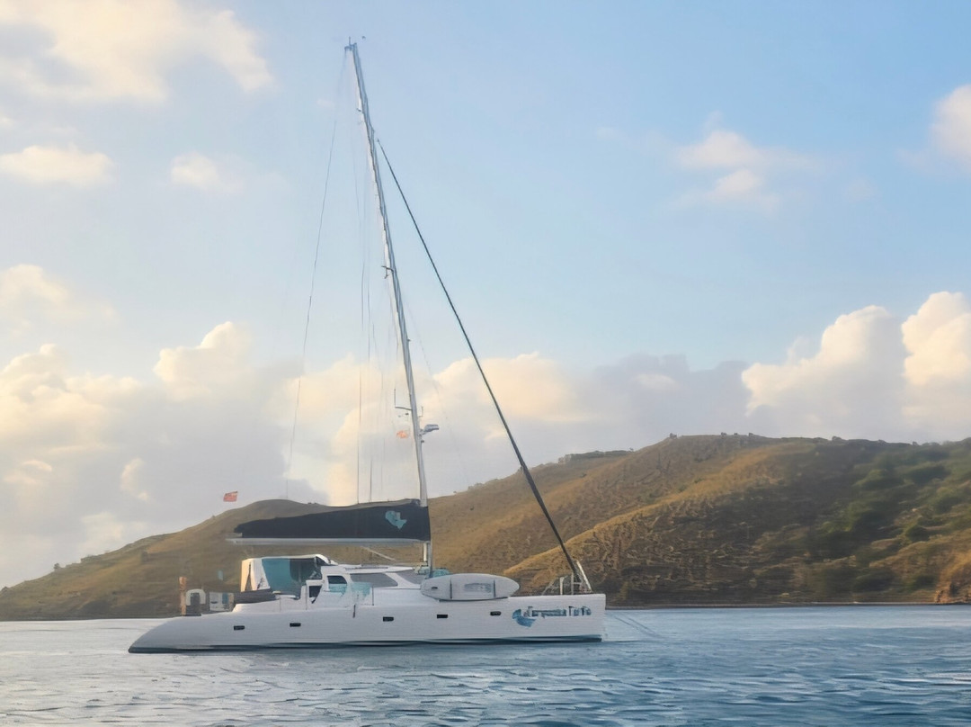 Turquoise Turtle Charters-圣 托马斯必去景点