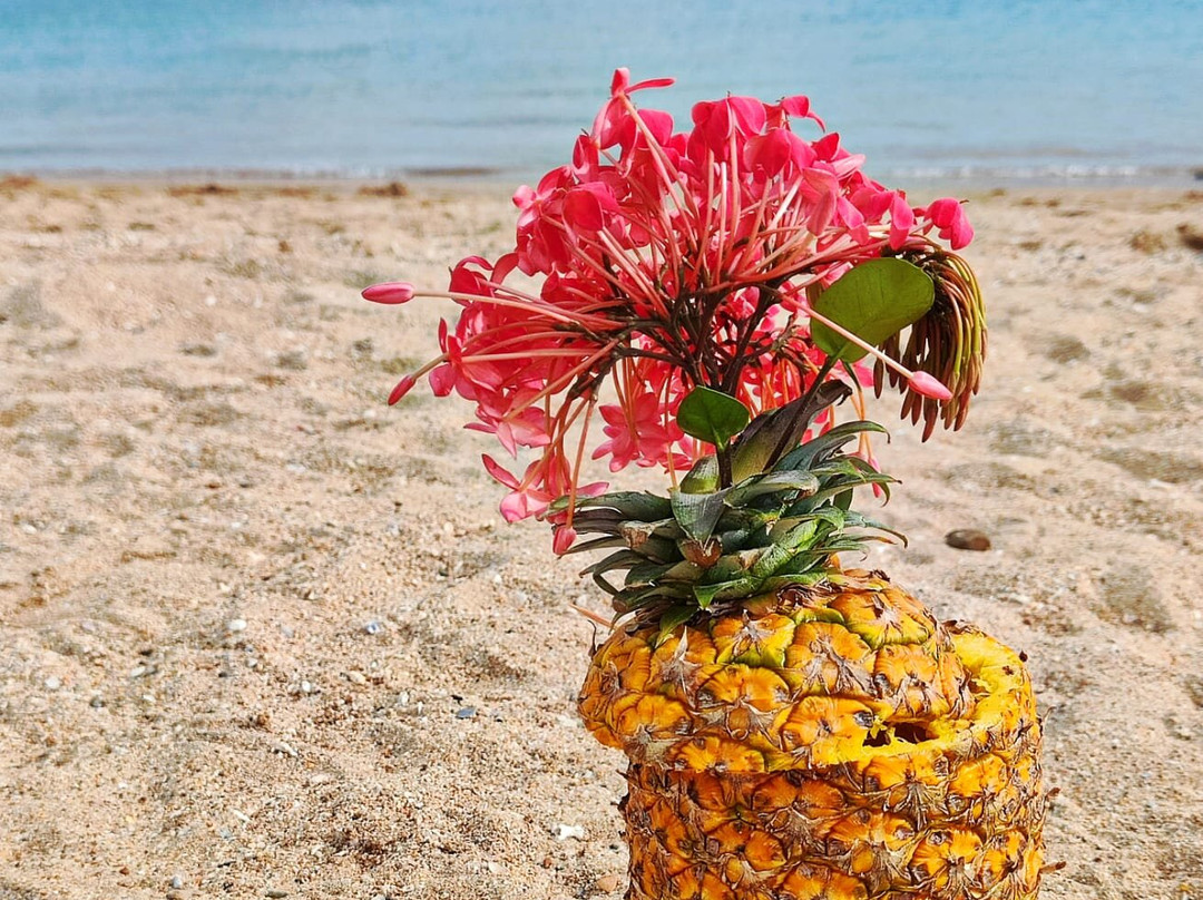 Taboga Express Fast Ferry-巴拿马城必去景点