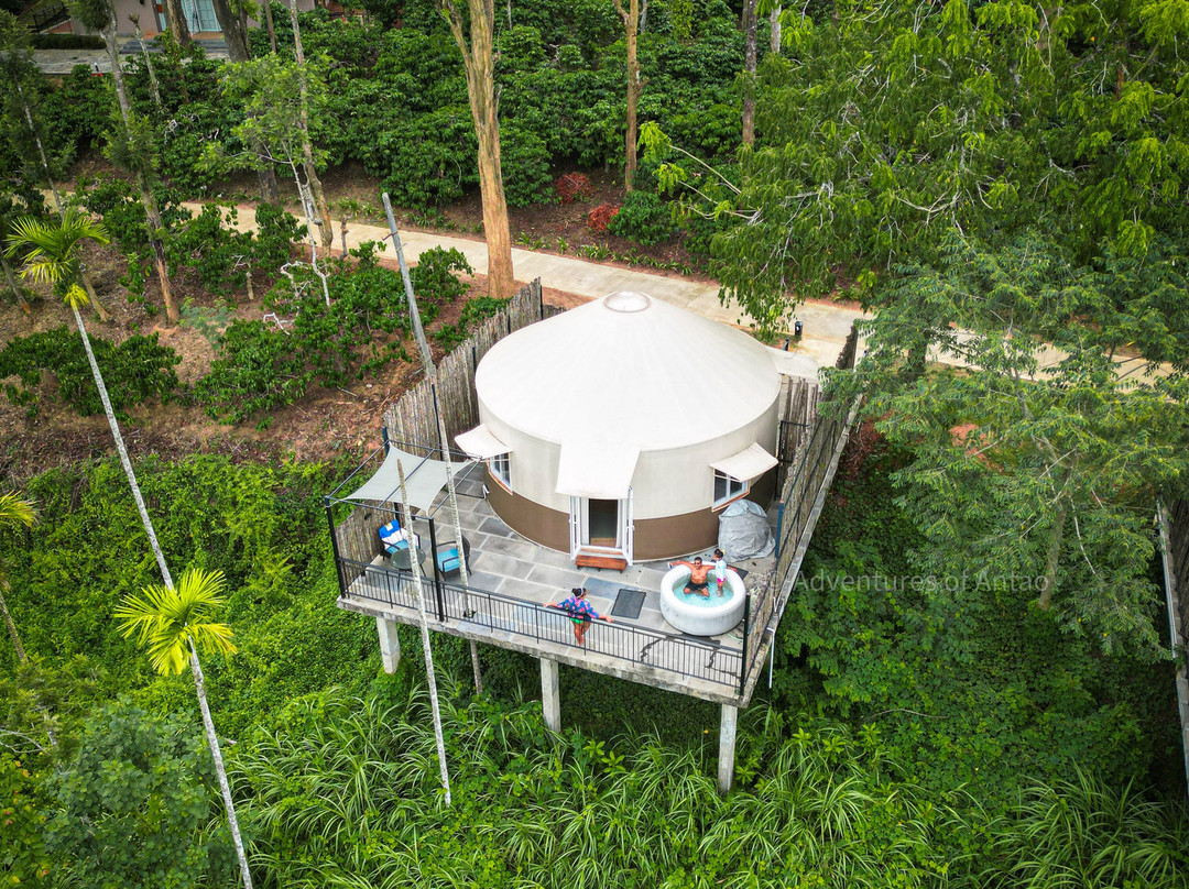 Machaan Wilderness Lodge主图