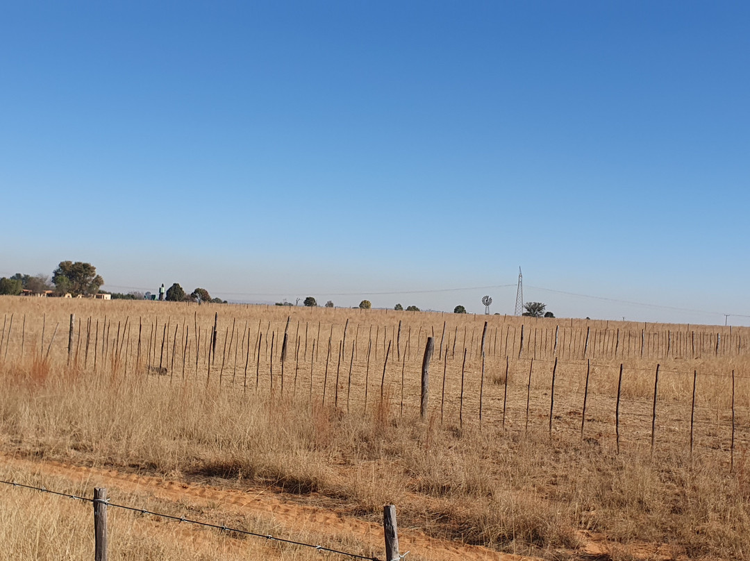 Diamond X Cowboy Ranch-Rayton必去景点