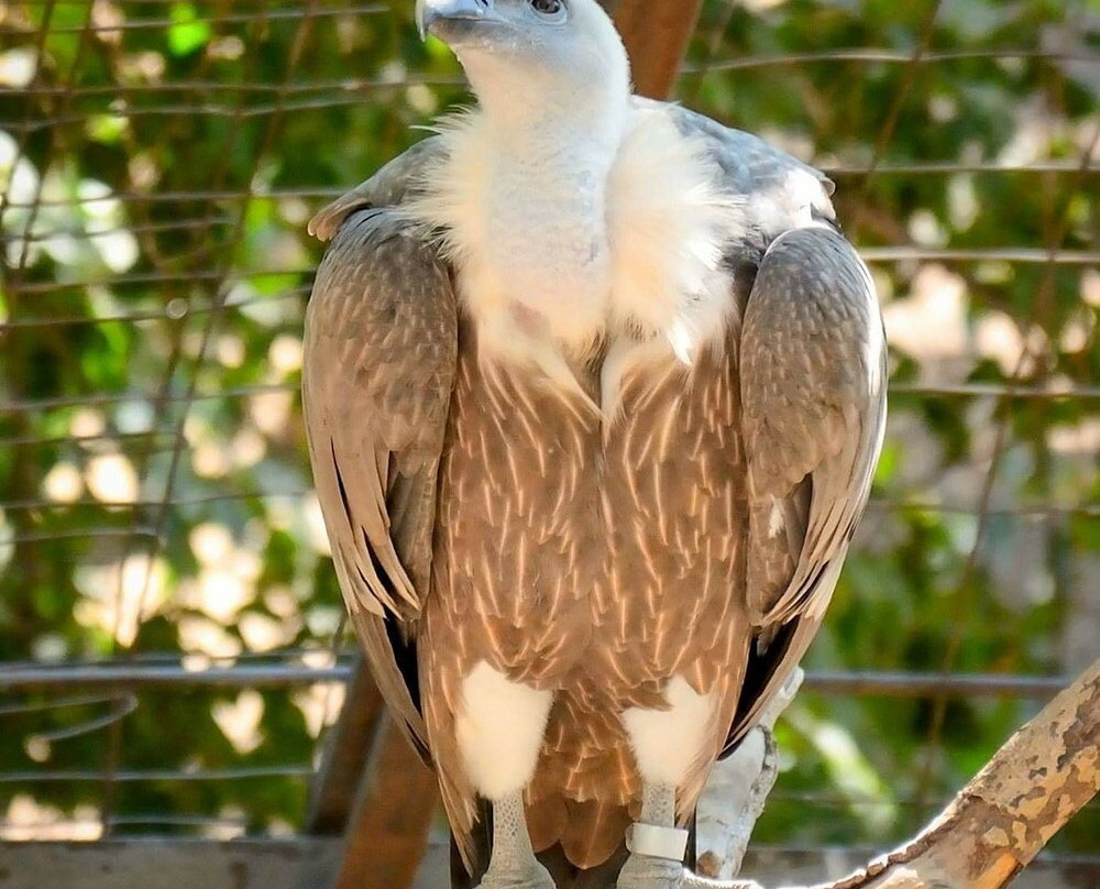 Yerevan Zoo-埃里温必去景点