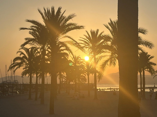 Hotel Kilimanjaro主图