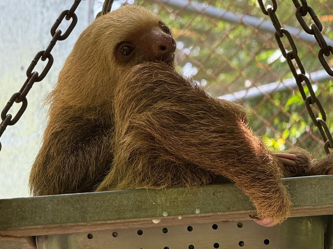 Piko Travel-艾拉杜拉必去景点