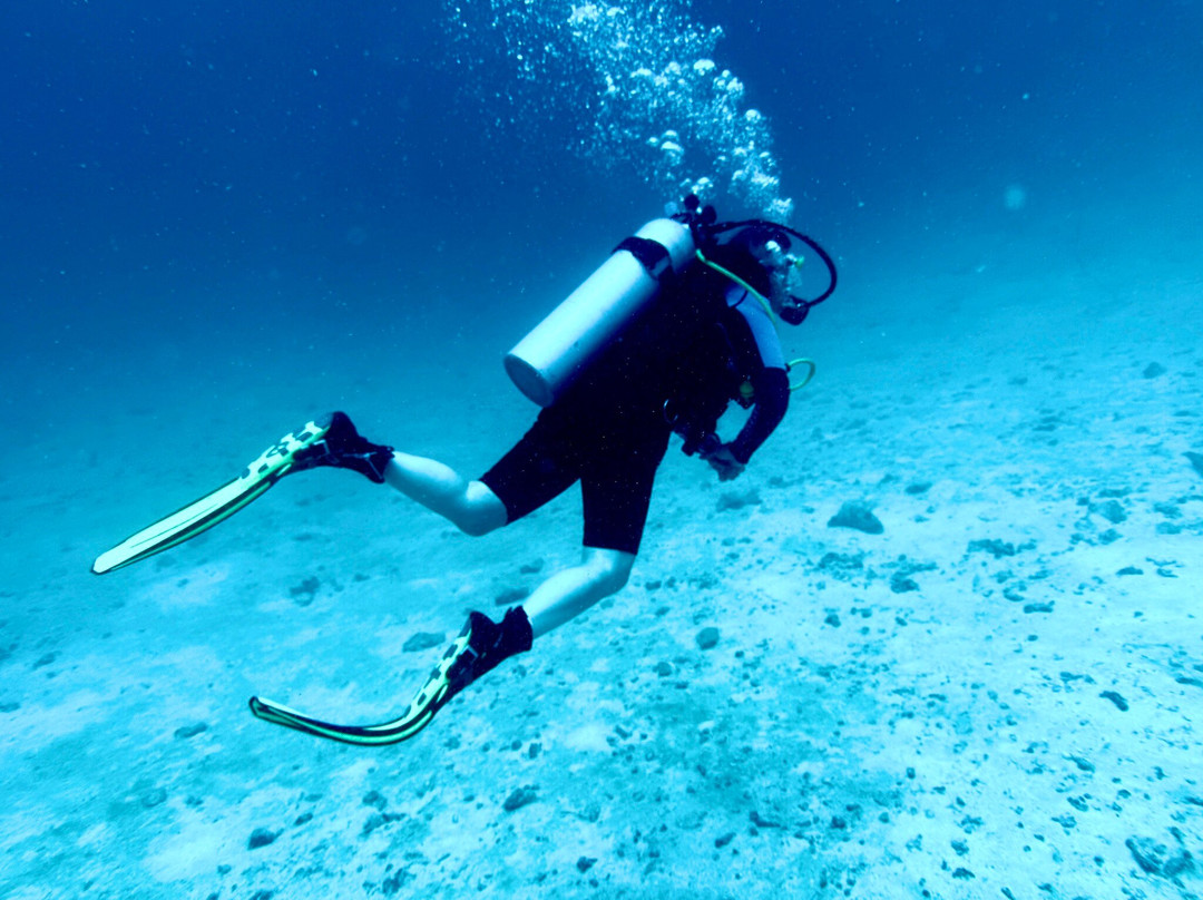 Hanimaadhoo Dive and Watersports-哈霓玛阿都必去景点