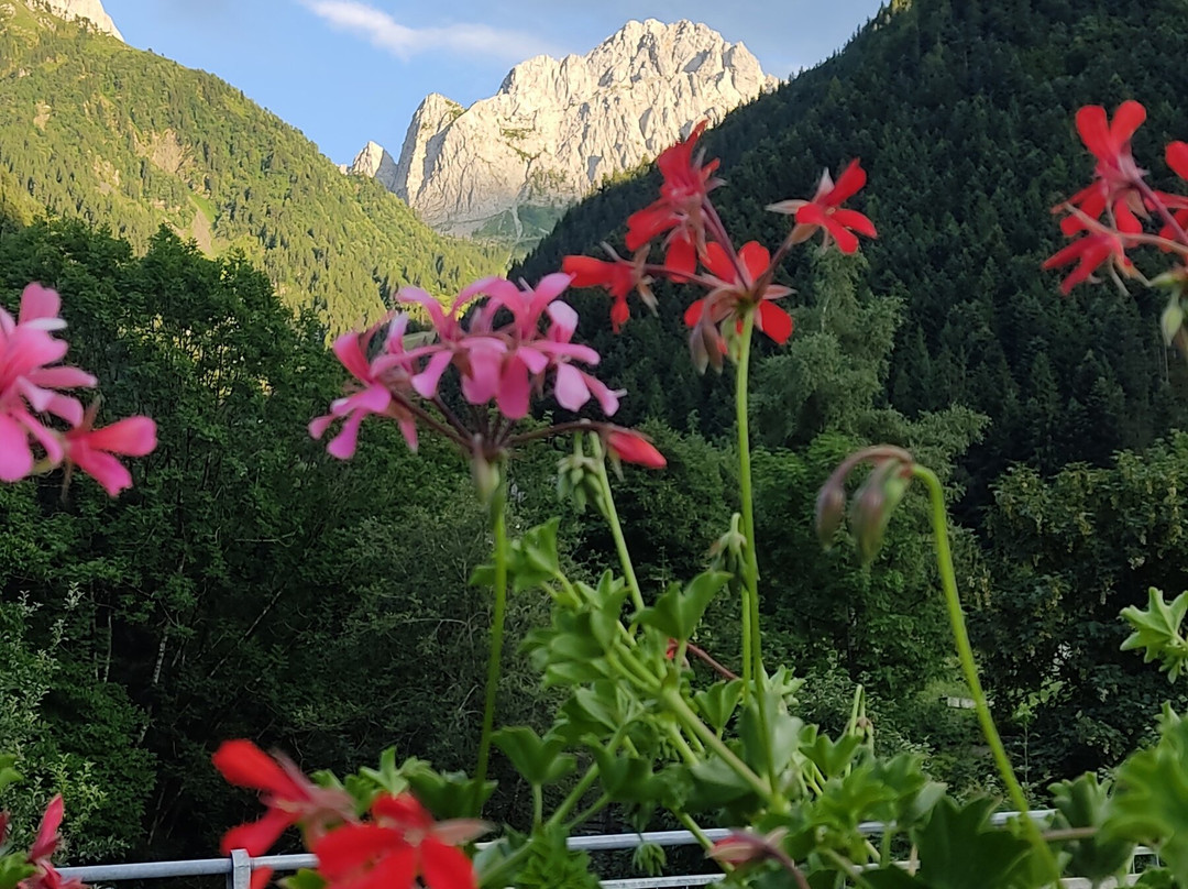 Albergo Edelweiss主图