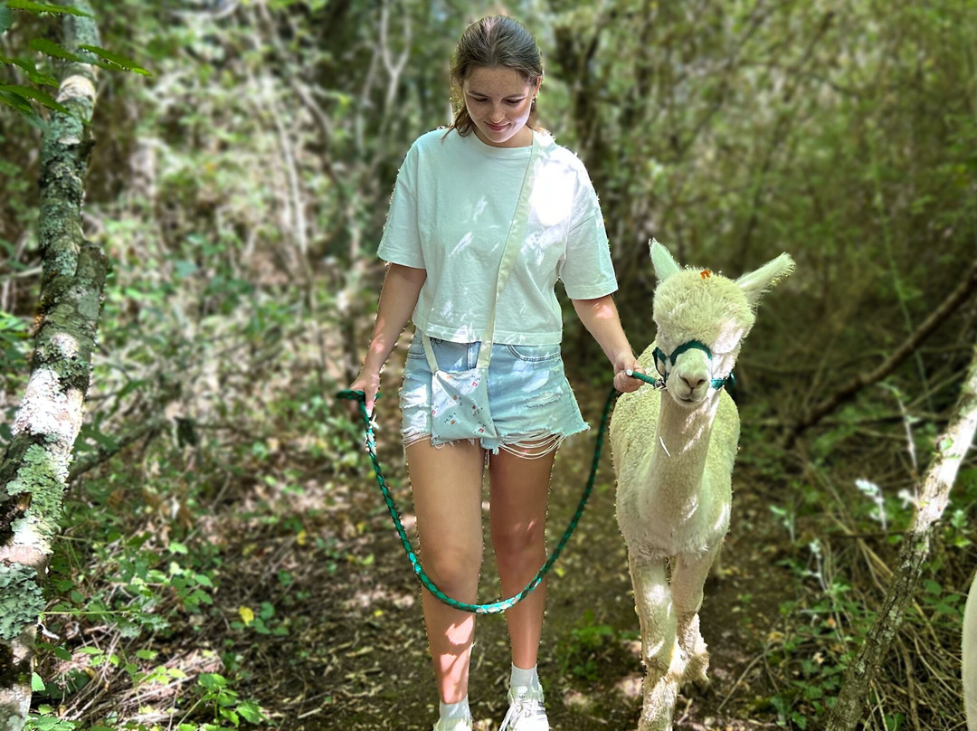 Nana Mac Alpaca Farm