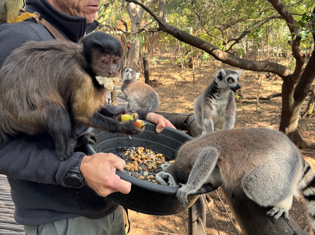 Elephant Sanctuary Hartbeesport Dam-哈特比斯普特必去景点